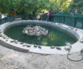 Π.Φ.Π.Ο.: Τι θα κάνει ο Δήμος Αθηναίων για τις νεροχελώνες που πεθαίνουν στον Εθνικό Κήπο; (βίντεο)