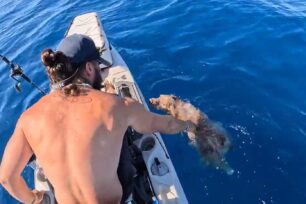 Έσωσε σκύλο που βρήκε να κολυμπάει μεσοπέλαγα ανάμεσα σε Πάρο και Νάξο (βίντεο)