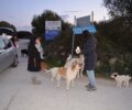 Χρειάζονται τροφή για τα σκυλιά που εγκαταλείφθηκαν στη Σαλαώρα Άρτας (βίντεο)