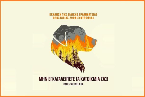 Χώροι φιλοξενίας ζώων στην Αττική και τηλέφωνα ανάγκης για διασώσεις από τις πυρόπληκτες περιοχές