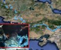 Από την Πάρνηθα έφτασε στον Παρνασσό ο λύκος που οι επιστήμονες ονόμασαν Σοφοκλή