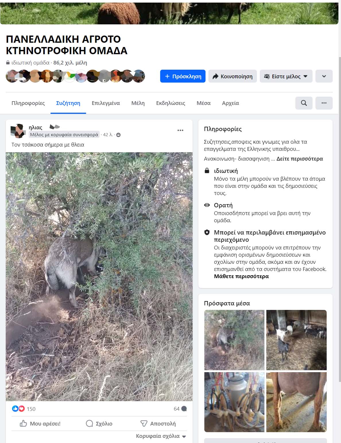 Κτηνοτρόφος παγιδεύει λύκο για να τον σκοτώσει και δημοσιεύει το κατόρθωμα στο facebook 2 LykosSyrmatiniThyliaKtinotrofosFacebook21 6 2024 3
