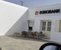Μύκονος: Πρόβατα με δεμένα τα πόδια ψάχνουν απελπισμένα σκιά έξω από τράπεζα στο Δραφάκι