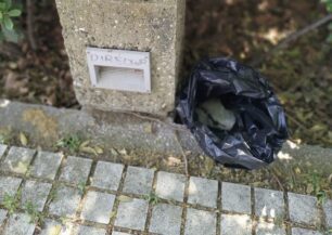 Θεσσαλονίκη: Βρήκε μικρόσωμο σκύλο νεκρό μέσα σε πλαστική σακούλα δίπλα σε τσάντα μεταφοράς κατοικιδίου