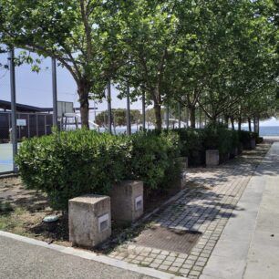 ThessalonikiAnalispiSkylosSakoula7 6 2024 3