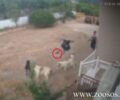 Καλαμάτα Μεσσηνίας: Αστυνομικός σκότωσε σκύλο συγγενών του πυροβολώντας τον δύο φορές με πιστόλι