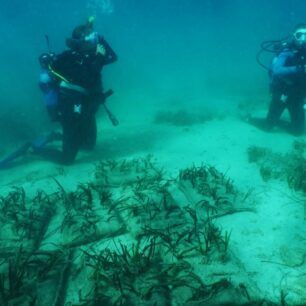 LivadiaPoseidoniasArchipelagos2024 1
