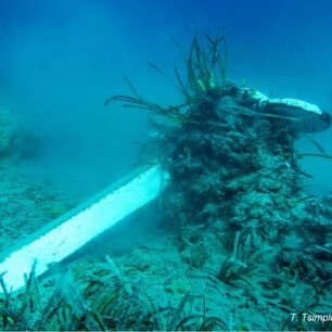 LivadiaPoseidoniasArchipelagos2024 4