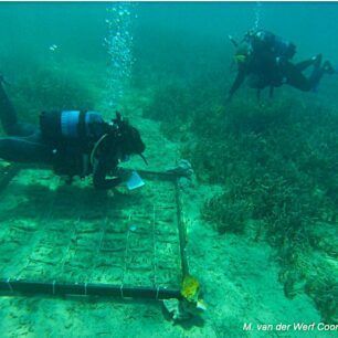 LivadiaPoseidoniasArchipelagos2024 5