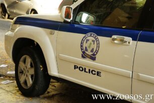 Κόρινθος: Συνελήφθη άνδρας για την παθητική κακοποίηση των σκυλιών του