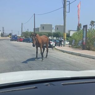 RodosSkeletomenaAloga22 7 2024 6