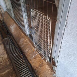 O K. Μπακογιάννης καταγγέλλει τον δήμαρχο Αθηναίων Χ. Δούκα για εγκατάλειψη του καταφυγίου και του δημοτικού κτηνιατρείου 3 AthinaKatafygioSokratiOct2024 2
