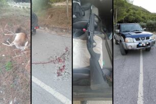 Για κακούργημα διώκεται παράνομος κυνηγός που σκότωσε ελάφι στη Ρόδο (βίντεο)