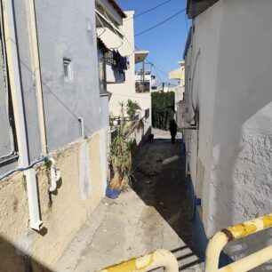 Ρόδος: Μαζική δολοφονία γατιών με φόλες στα Κοσκινού (βίντεο) 3 RodosGatesDilitiriasmenesKoskinou3 10 2024 1