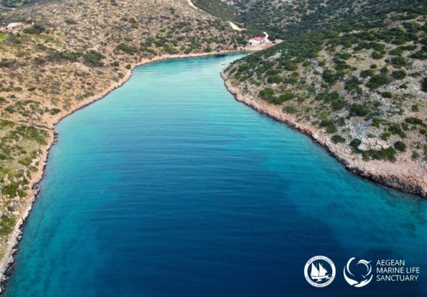 Γιατί το Υπουργείο Περιβάλλοντος βάζει εμπόδια στη λειτουργία του καταφυγίου θαλασσίων ειδών στους Λειψούς; (Βίντεο)