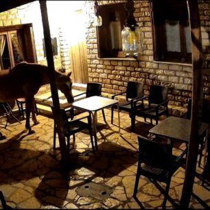 PokistaAitoloakarnaniasAlogo2024 10 19 1