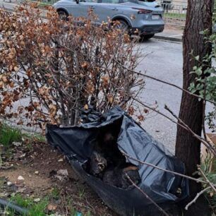 FaliroSEFskylosNekrosSakoula13 1 2025 2