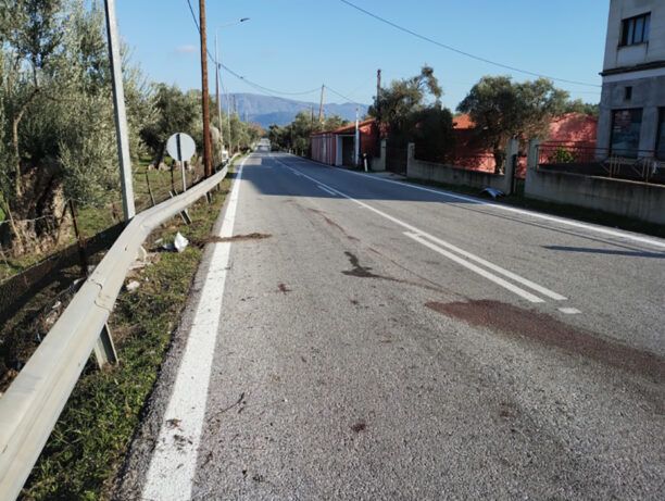 Λέσβος: Συνελήφθη στρατιωτικός καθώς άφηνε τα άλογα του να περιφέρονται και προκάλεσαν θανάσιμο τροχαίο – Πέθανε και ο 19χρονος και τα ζώα