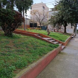 KeratsiniAttikisSkylosSkoulikia24 1 2025 3