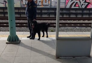 Εγκατέλειψε σκύλο στον σταθμό του Προαστιακού «Κάτω Αχαρναί» στις Αχαρνές Αττικής