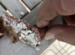 Άγιος Αθανάσιος Θεσσαλονίκης: Σκόρπισε φόλες δηλητηριασμένα λουκάνικα για να σκοτώσει ζώα