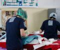 Ξένοι πληρώνουν τις στειρώσεις αδέσποτων σε δομές φιλοξενίας καθώς η κυβέρνηση τελικά δεν καλύπτει το κόστος (βίντεο)