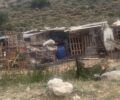 Γλυφάδα Αττικής: Σε καταπατημένες εκτάσεις στο βουνό κακοποιούν ζώα κάθε είδους και δεν τους κουνάει κανείς (βίντεο)