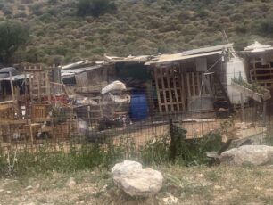 Γλυφάδα Αττικής: Σε καταπατημένες εκτάσεις στο βουνό κακοποιούν ζώα κάθε είδους και δεν τους κουνάει κανείς (βίντεο)