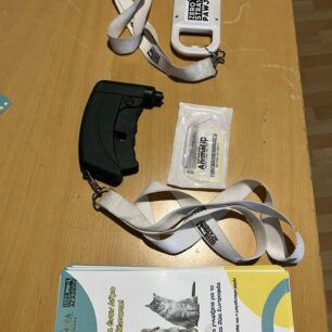 AstynomiaZoonKiritiStamatakouAkadimia19 3 2025 8