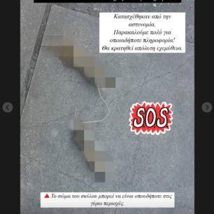 AthinaKolonosKommenaPodiaSkylouKalodio15 5 2025 4
