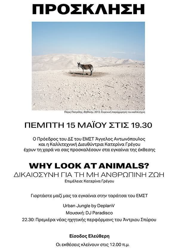 Στο Εθνικό Μουσείο Σύγχρονης Τέχνης 60 καλλιτέχνες απαντούν «Γιατί να κοιτάμε τα ζώα;» 6 EMSTAfisa15 5 2025 1