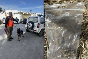 Πετροκεφάλι Ηρακλείου: Με φόλες δολοφόνησε πολλά ζώα (σκυλιά, γάτες, σκαντζόχοιρους)
