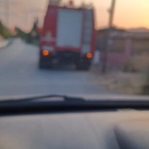 Σαλαμίνα: Βρήκαν σκύλο σκελετωμένο νεκρό στα κάγκελα σπιτιού 1 SalaminaXenoSkylosPnigmenosMpalkoni19 5 2025 2