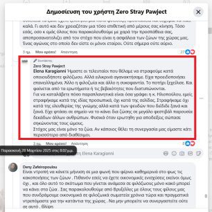 Μια οφειλόμενη απάντηση στους κουμπάρους του πρωθυπουργού… 8 ZeroStrayPawjectFacebookPsevdi2025 04 01 8