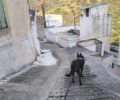 Έξω Μουλιανά Λασιθίου: Με φόλες δολοφόνησε πολλές γάτες