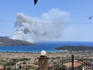 Τηλέφωνο για διασώσεις ζώων από το μέτωπο της φωτιάς στην Παλαιά Φώκαια Αττικής