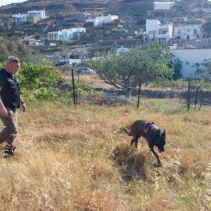 Κύθνος: Βρέθηκαν και άλλες γάτες νεκρές από φόλες - Πολλές οι εξαφανισμένες 5 KythnosFoles12 6 2025 7