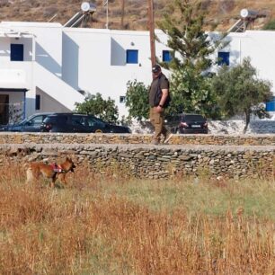 Κύθνος: Βρέθηκαν και άλλες γάτες νεκρές από φόλες - Πολλές οι εξαφανισμένες 6 KythnosFoles12 6 2025 8
