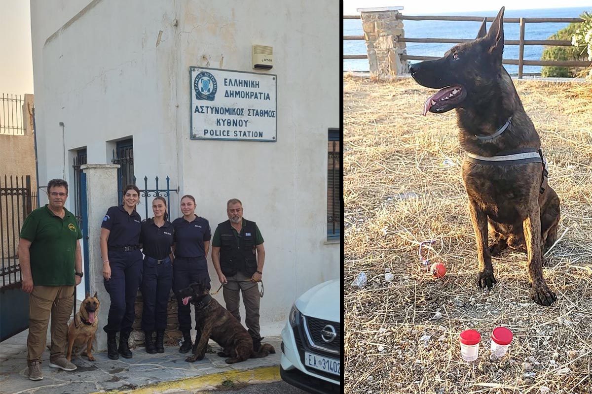 Κύθνος: Εκπαιδευμένοι σκύλοι πιθανότατα εντόπισαν επτά νέες φόλες