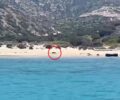 Έκκληση για τη διάσωση γατιών από τη νησίδα Πολύαιγος Κιμώλου (βίντεο)