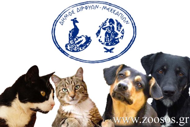 Εύβοια: Χωρίς πρόγραμμα διαχείρισης αδέσποτων ο Δήμος Διρφύων Μεσσαπίων – Την τραγική κατάσταση καταγγέλλουν εθελοντές