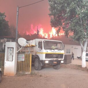 Η φωτιά στην Εύβοια απέδειξε πως στο Δημοτικό Κυνοκομείο Χαλκίδας σκυλιά παραμένουν υποσιτισμένα, άρρωστα και αστείρωτα (βίντεο) 7 DimotikoKynokomeioHalkidasEvias26 7 2025 0