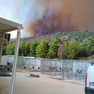 Η φωτιά στην Εύβοια απέδειξε πως στο Δημοτικό Κυνοκομείο Χαλκίδας σκυλιά παραμένουν υποσιτισμένα, άρρωστα και αστείρωτα (βίντεο) 1 DimotikoKynokomeioHalkidasEvias26 7 2025 1