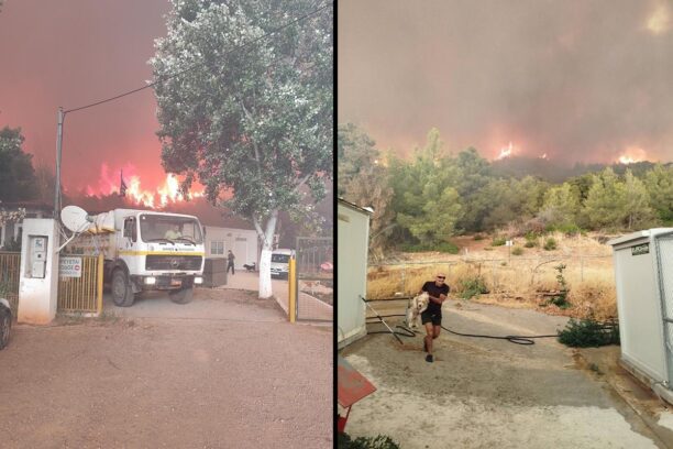 Η φωτιά στην Εύβοια απέδειξε πως στο Δημοτικό Κυνοκομείο Χαλκίδας σκυλιά παραμένουν υποσιτισμένα, άρρωστα και αστείρωτα (βίντεο)