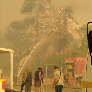 Η φωτιά στην Εύβοια απέδειξε πως στο Δημοτικό Κυνοκομείο Χαλκίδας σκυλιά παραμένουν υποσιτισμένα, άρρωστα και αστείρωτα (βίντεο) 5 DimotikoKynokomeioHalkidasEvias26 7 2025 4
