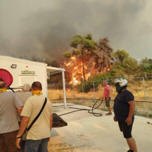 Η φωτιά στην Εύβοια απέδειξε πως στο Δημοτικό Κυνοκομείο Χαλκίδας σκυλιά παραμένουν υποσιτισμένα, άρρωστα και αστείρωτα (βίντεο) 8 DimotikoKynokomeioHalkidasEvias26 7 2025 5