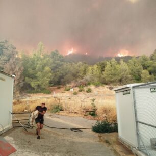 Η φωτιά στην Εύβοια απέδειξε πως στο Δημοτικό Κυνοκομείο Χαλκίδας σκυλιά παραμένουν υποσιτισμένα, άρρωστα και αστείρωτα (βίντεο) 2 DimotikoKynokomeioHalkidasEvias26 7 2025 6