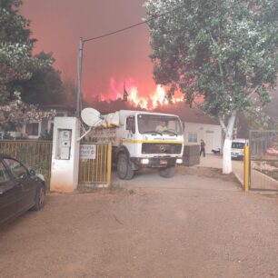 Η φωτιά στην Εύβοια απέδειξε πως στο Δημοτικό Κυνοκομείο Χαλκίδας σκυλιά παραμένουν υποσιτισμένα, άρρωστα και αστείρωτα (βίντεο) 6 DimotikoKynokomeioHalkidasEvias26 7 2025 8
