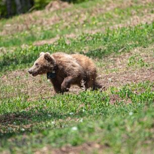 EmporioKozanisArkoudaki3 5 2025 1