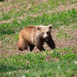 EmporioKozanisArkoudaki3 5 2025 2